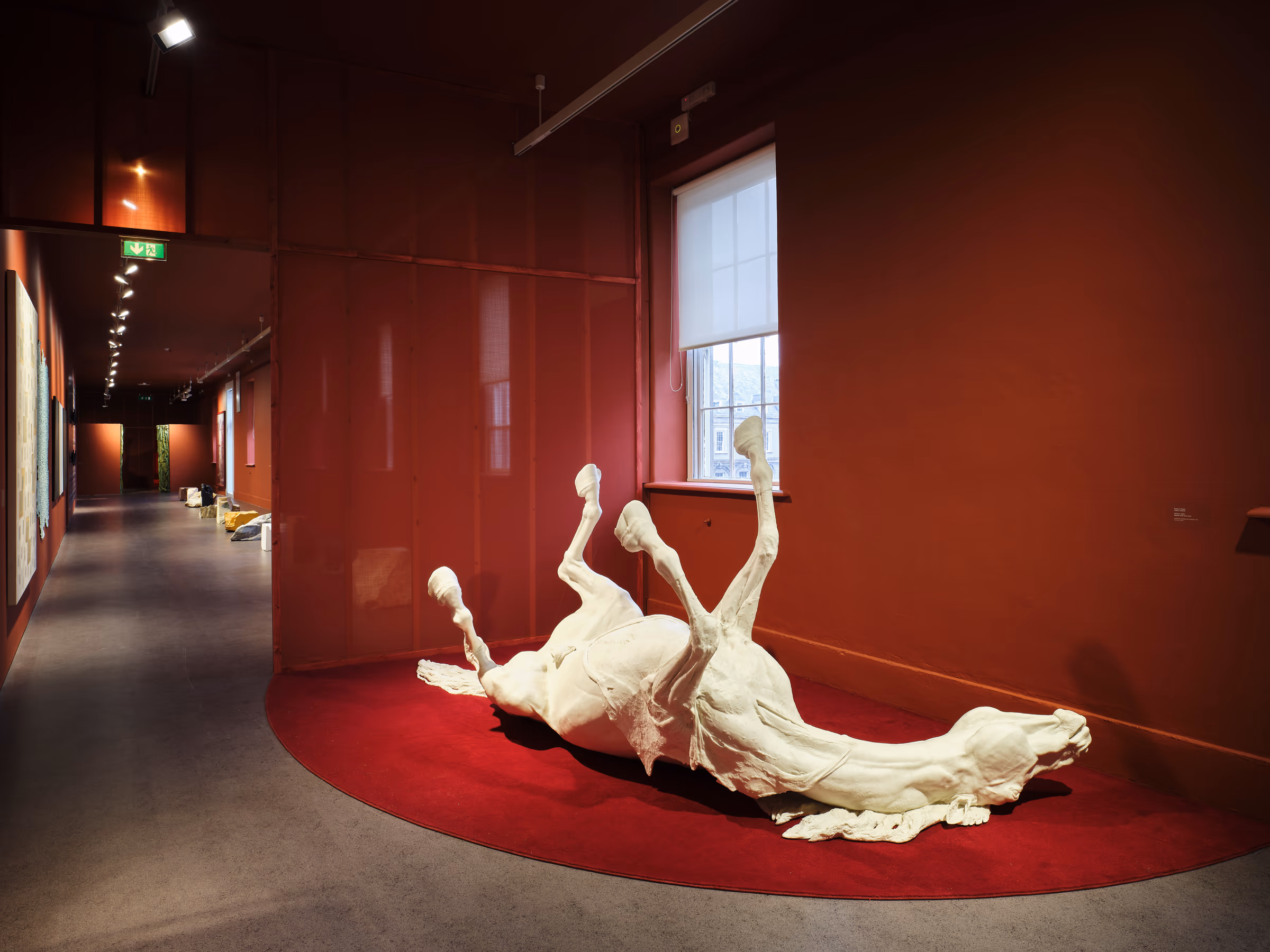 Daphne Wright, Stallion, 2009. Installation view IMMA Collection: Art as Agency, Irish Museum of Modern Art, Dublin, 2025.